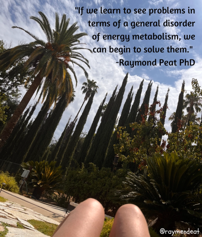 "If we learn to see problems in terms of a general disorder of energy metabolism, we can begin to solve them." -Raymond Peat PhD