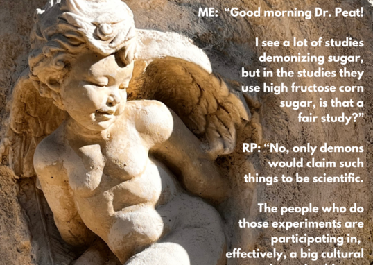 ME: "Good morning Dr. Peat! I see a lot of studies demonizing sugar, but in the studies they use high fructose corn sugar, is that a fair study?" RP: "No, only demons *would claim such things to be scientific. The people who do those experiments are participating' in; effectively, a big cultural t conspiracy. Looking at the history of nutrition research, the demonization of cholesterol and sugar: began under the influence of industries and government with ulterior motives.