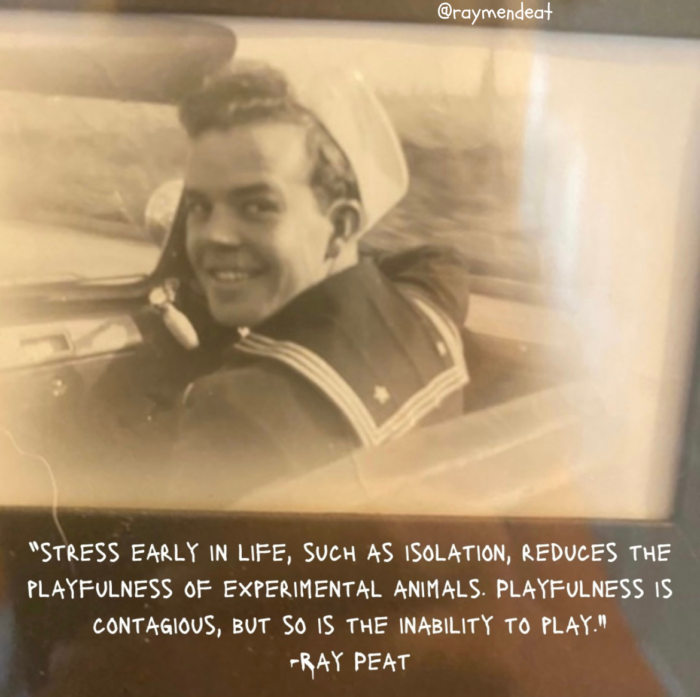 "STRESS EARLY IN LIFE, SUCH AS ISOLATION, REDUCES THE PLAYFULNESS OF EXPERIMENTAL ANIMALS. PLAYFULNESS IS CONTAGIOUS, BUT SO IS THE INABILITY TO PLAY." -RAY PEAT