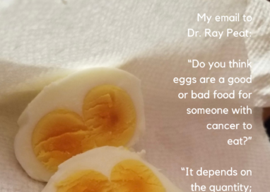 My email to Dr. Ray Peat: "Do you think eggs are a good or bad food for someone with cancer to eat?" "It depends on the quantity: cancer grows well when fat or protein is available as an energy source