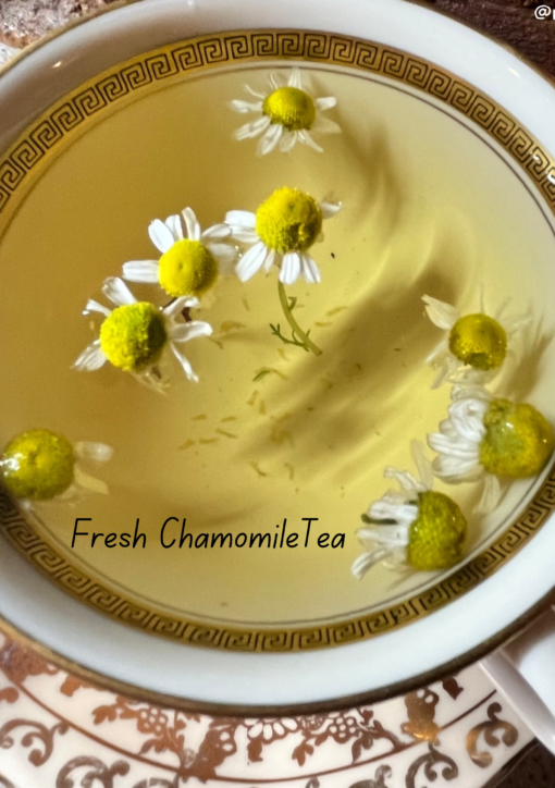 Fresh Chamomile Tea