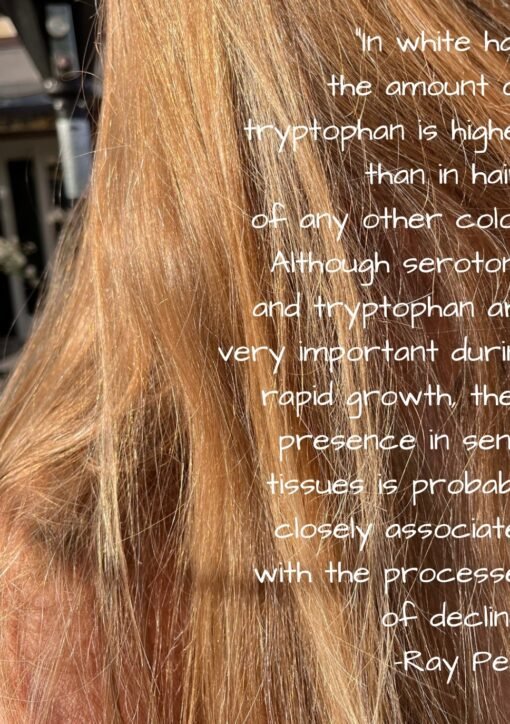 "In white hair the amount of tryptophan is higher than in hair any other color Although serotonin and tryptophan are very important during rapid growth their presence in senile tissues is probably closely associated with the processes decline." Ray Peat