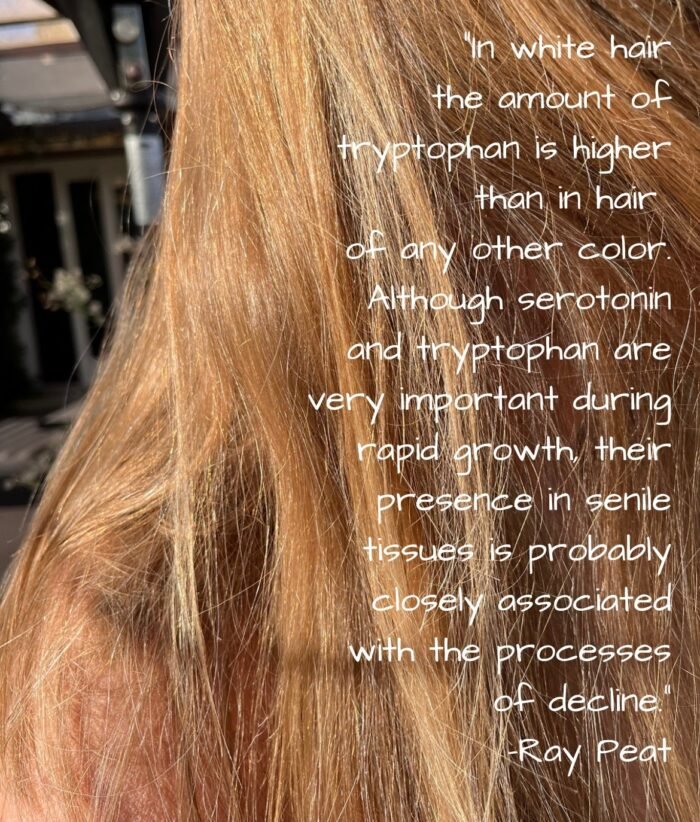 "In white hair the amount of tryptophan is higher than in hair any other color Although serotonin and tryptophan are very important during rapid growth their presence in senile tissues is probably closely associated with the processes decline." Ray Peat