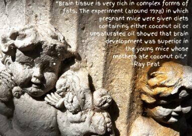 "Brain tissue is very rich in complex forms of fats. The experiment (around 1978) in which pregnant mice were given diets containing either coconut oil or unsaturated oil showed that brain development was superior in the young mice whose mothers ate coconut oil." Ray Peat