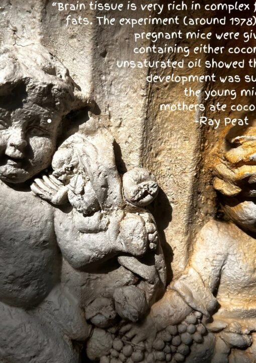 "Brain tissue is very rich in complex forms of fats. The experiment (around 1978) in which pregnant mice were given diets containing either coconut oil or unsaturated oil showed that brain development was superior in the young mice whose mothers ate coconut oil." Ray Peat