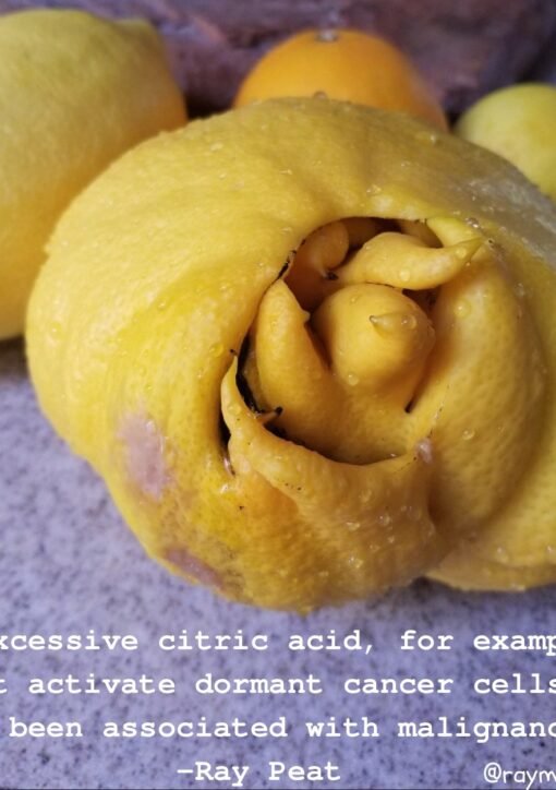 "Excessive citric acid, for example might activate dormant cancer cells and has been associated with malignancy" -Ray Peat @raymendeat