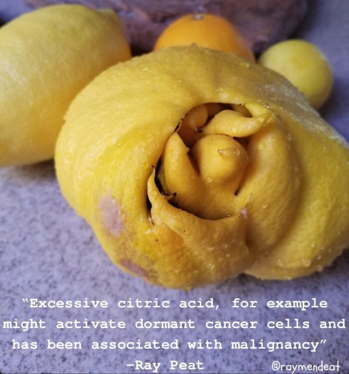 "Excessive citric acid, for example might activate dormant cancer cells and has been associated with malignancy" -Ray Peat @raymendeat